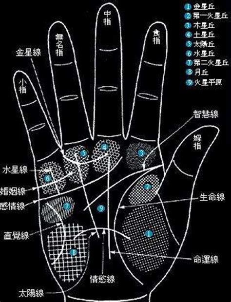 手掌痣位置|手掌痣的位置與命運 掌心有痣圖解大全